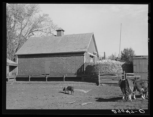 Untitled photo, possibly related to: Corncrib on Fred Goecke's farm. Marshall County, Iowa