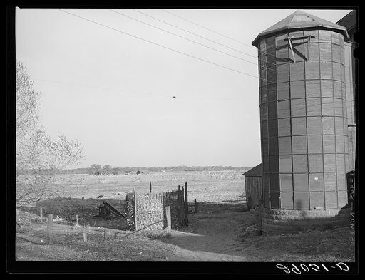 Silo and corn crib. Black Hawk County, Iowa