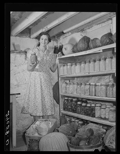 Rehabilitation client's wife with part of the winter's food supply raised in her own garden. Black Hawk County, Iowa