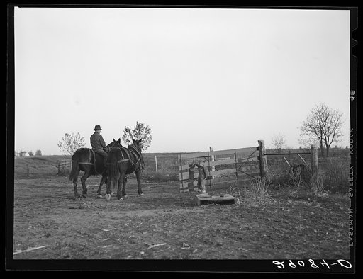 Farmer returning from the fields with the team. Osage Farms, Missouri