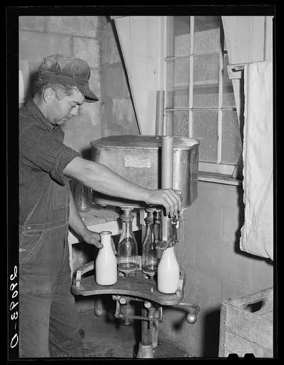 Members of the Hillview Cooperative receive their milk at cost. Osage Farms, Missouri