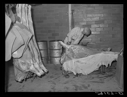 Skinning a beef carcass. Packing plant, Scotts Bluff, Nebraska