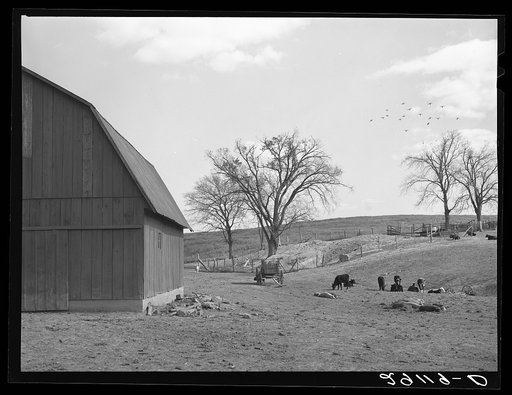 John Dixon's farm consists of 110 acres planted in corn, wheat, oats and hay. Saint Charles County, Missouri