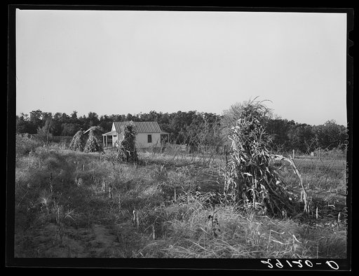 Fifteen acre subsistence homestead developed by FSA (Farm Security Administration) for tiff miner Lawrence Corda. Washington County, Missouri