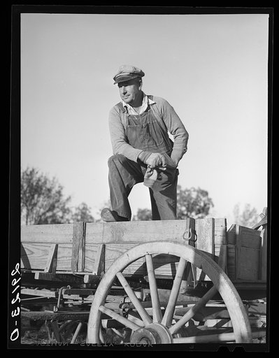 Lawrence Corda, tiff miner, raises corn, oats, and lespedeza when he is not working at the diggings." Washington County, Missouri