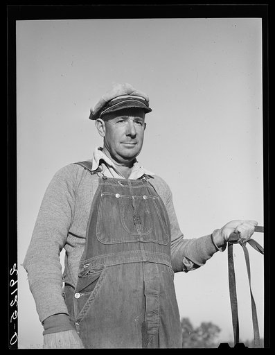 Lawrence Corda, tiff miner, has beef cattle, hogs, a mule, and chickens. He raises most of his own food and feed when he is not mining tiff. Washington County, Missouri