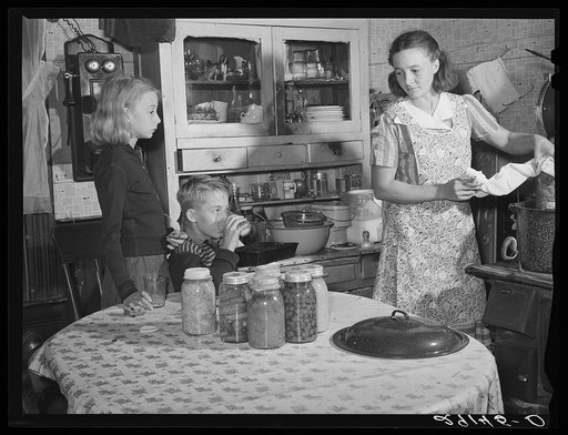 Mrs. Dixon cans an adequate supply of fruits and vegetables to give her family a balanced diet during the winter. Saint Charles County, Missouri