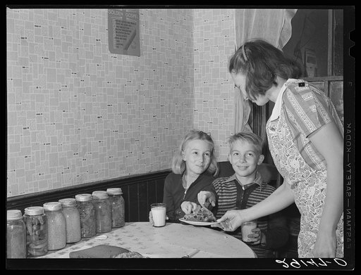 The health of the Dixon family is taken care of by the medical cooperative established by FSA (Farm Security Administration). Saint Charles County, Missouri