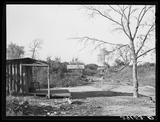 Untitled photo, possibly related to: Abandoned tiff diggings in paw-paw patch. Washington County, Missouri