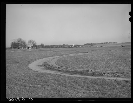 Terraced field. Greene County, Missouri