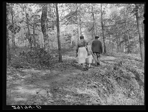 Untitled photo, possibly related to: Carrying water from the spring. Evicted sharecroppers' camp. Butler County, Missouri 