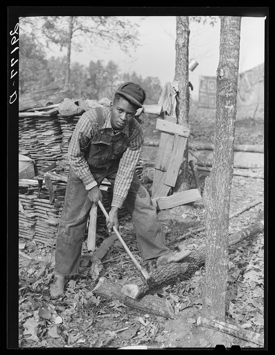 Evicted sharecropper chopping firewood. Butler County, Missouri