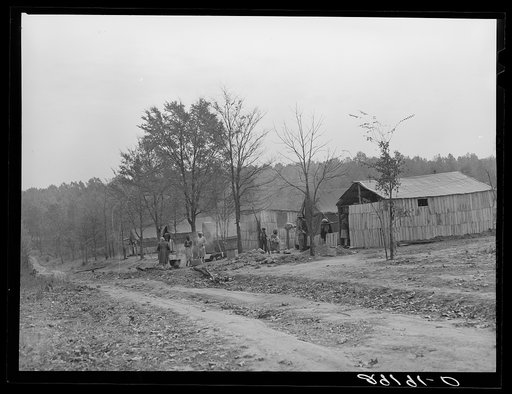 Evicted sharecroppers' camp, Butler County, Missouri