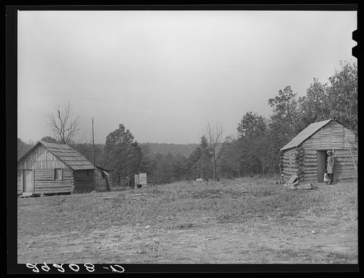 Cabins of evicted sharecroppers. Butler County, Missouri