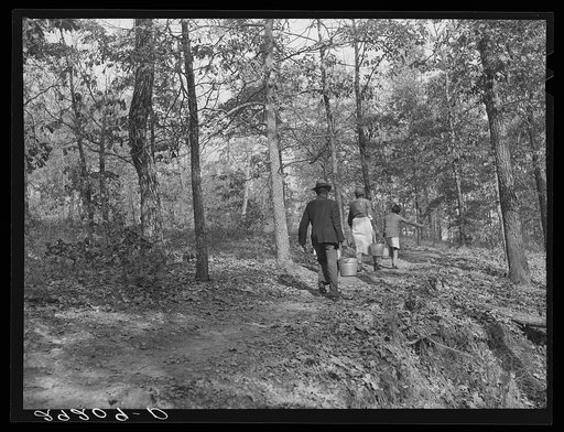 Carrying water from the spring. Evicted sharecroppers' camp. Butler County, Missouri
