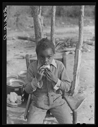 Evicted sharecropper's child eating orange from F.S.C.C supply. Butler County, Missouri