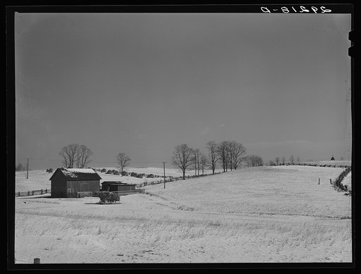 Untitled photo, possibly related to: Farm. Rappahannock County, Virginia