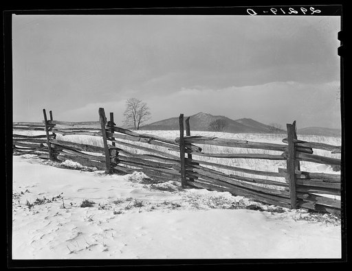 Split rail fence. Rappahannock County, Virginia