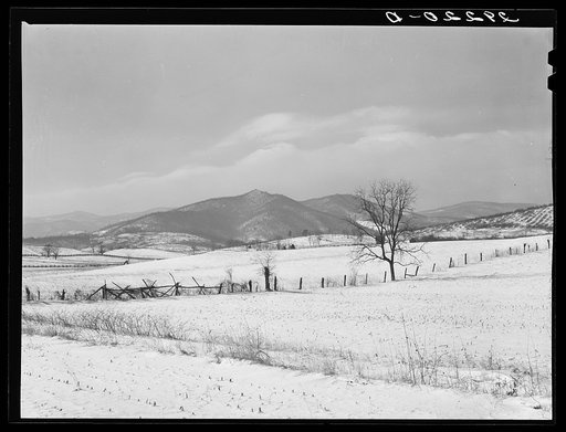Farmland. Rappahannock County, Virginia