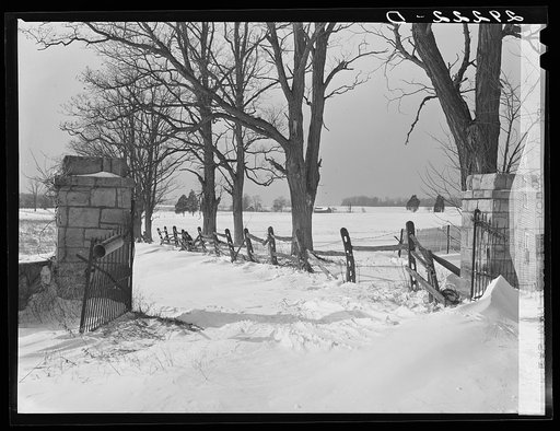 Untitled photo, possibly related to: Snowbound farm. Montgomery County, Maryland