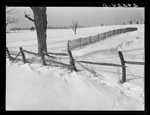 Snow fence. Montgomery County, Maryland