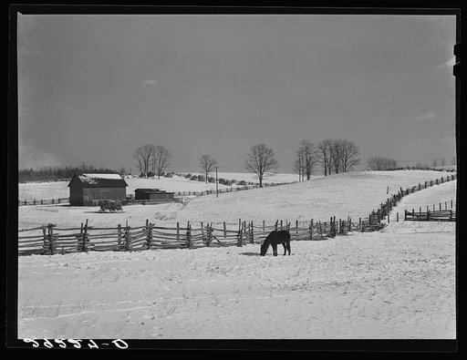 Farm. Rappahannock County, Virginia