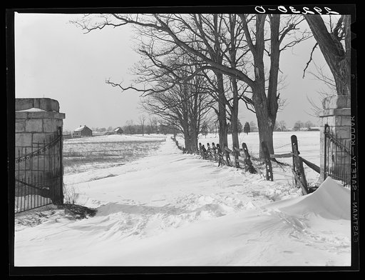 Untitled photo, possibly related to: Snowbound farm. Montgomery County, Maryland