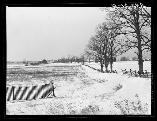 Farm. Montgomery County, Maryland