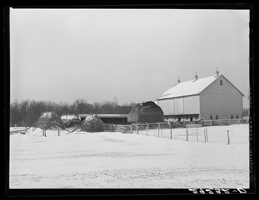 Untitled photo, possibly related to: Barn. Montgomery County, Maryland