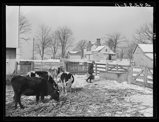 Farm. Montgomery County, Maryland