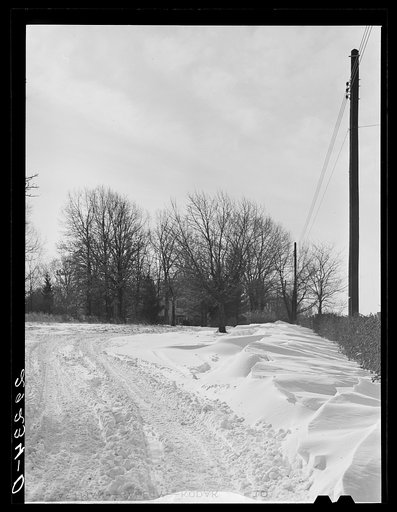 Road to farmhouse. Montgomery County, Maryland
