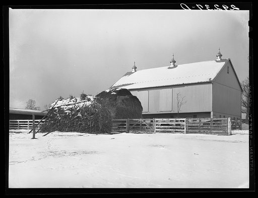 Barn. Montgomery County, Maryland