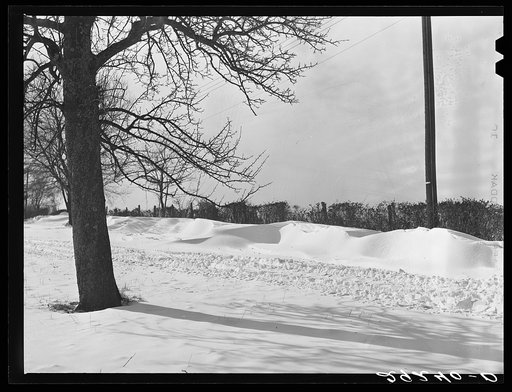 Farm road. Montgomery County, Maryland