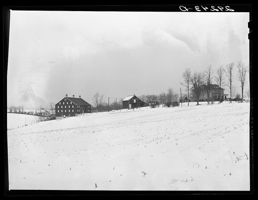 Farm. Montgomery County, Maryland