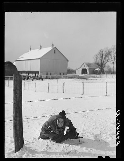 Marion Post Wolcott crouched in the snow below a barbed wire fence at a farm in Montgomery County, Maryland