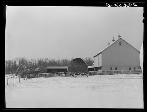 Barn. Montgomery County, Maryland