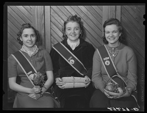 Flora, Ceres and Pomona. Grange meeting. Fairfax County, Virginia