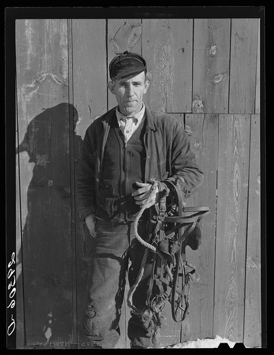 Ira Ison, rehabilitation client, bought two horses with his loan from the FSA (Farm Security Administration). Ross County, Ohio