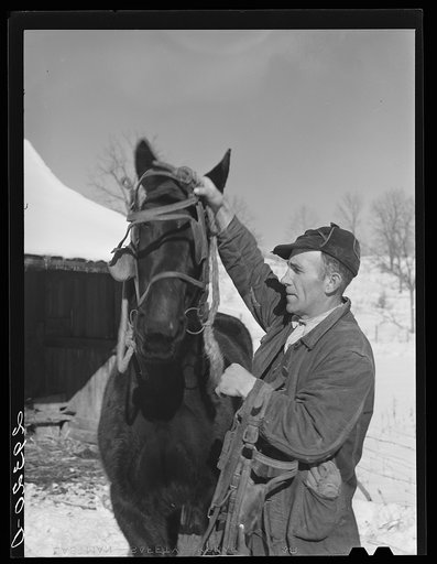 Untitled photo, possibly related to: Ira Ison, rehabilitation client, bought two horses with his loan from the FSA (Farm Security Administration). Ross County, Ohio