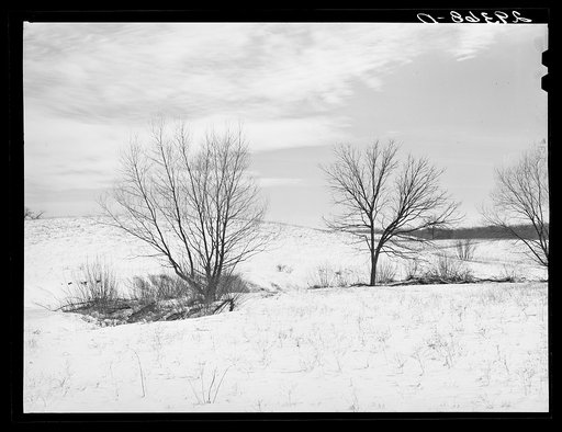 Farmland. Ross County, Ohio