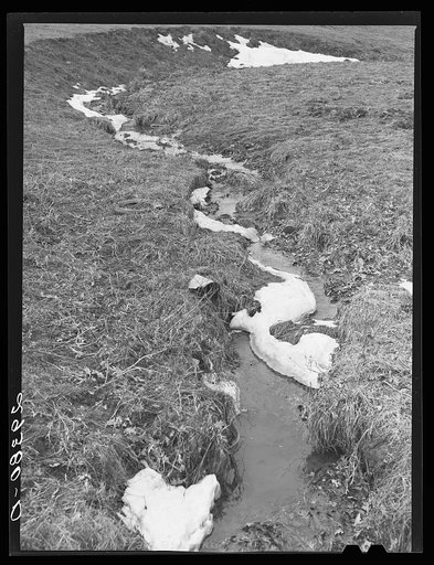 Snow melting in brook. Frederick County, Virginia