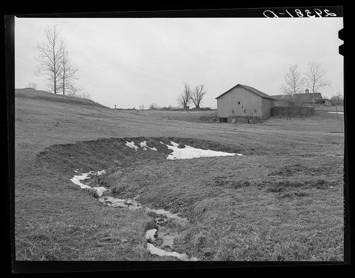 Farm. Frederick County, Virginia
