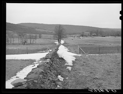 Farm. Frederick County, Virginia