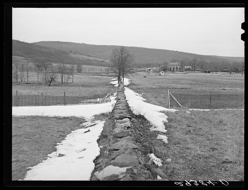 Untitled photo, possibly related to: Farm. Frederick County, Virginia