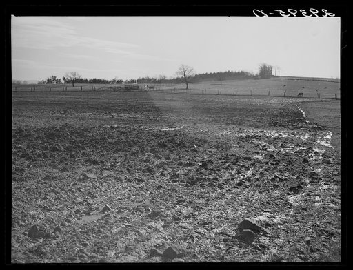 Snow melting in field. Frederick County, Virginia