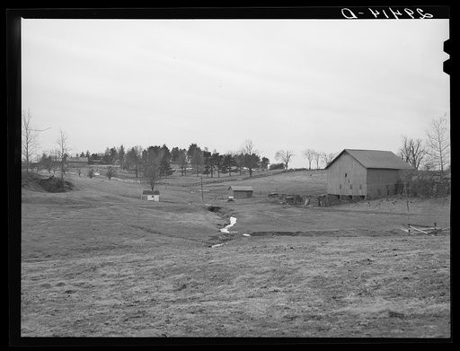 Farm. Frederick County, Virginia
