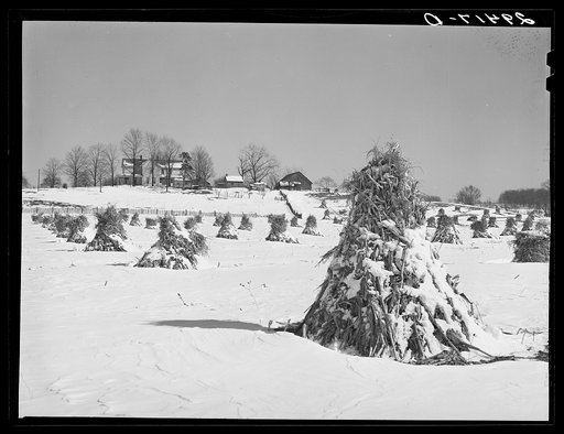 Farm. Ross County, Ohio