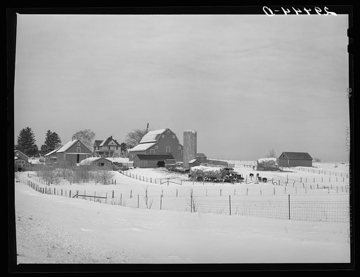 Farm. Grundy County, Iowa