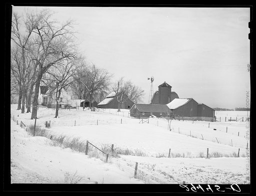 Farm. Grundy County, Iowa