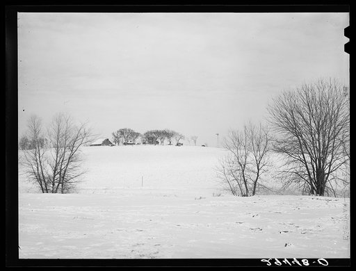 Farm. Marshall County, Iowa